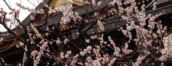 Yushima Tenmangu Shrine is one of #SHRINEHOPPERS.