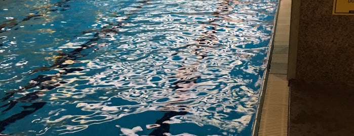A.Ş.K. Yüzme Havuzu is one of Gidilecekler.