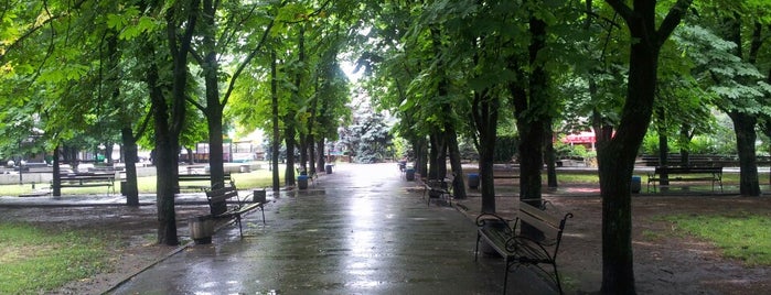 Каштановый сквер / Сhestnut Public Garden is one of Mykolaiv Bucket List.