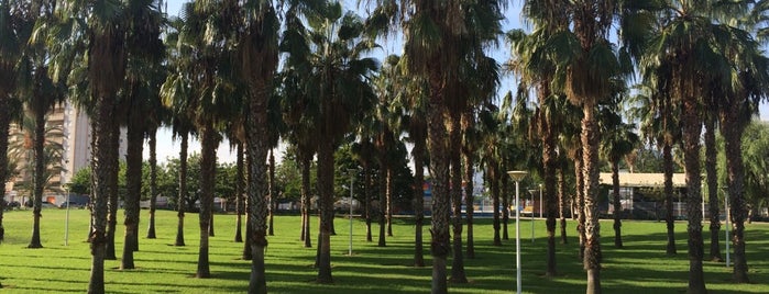 Parc del Clot de la Mota is one of Valencia.