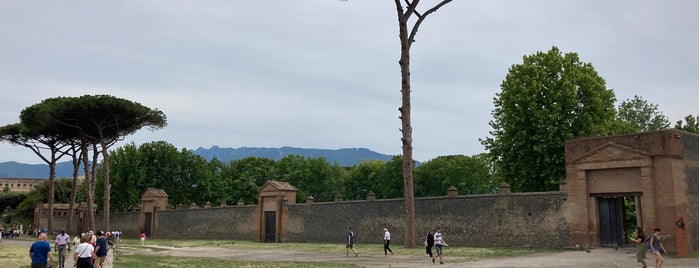 Pompeii Anfiteatro is one of View/Park/Nature.