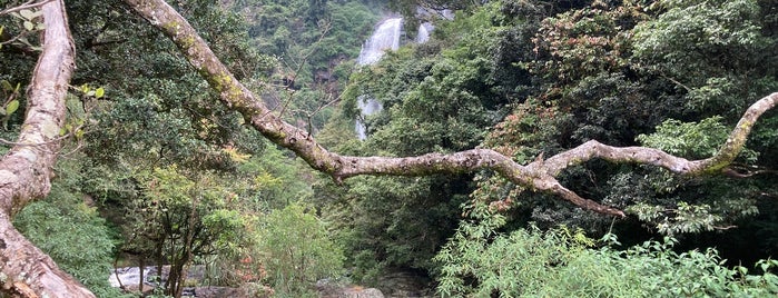 Bambarakanda Waterfall is one of Sri Lanca.