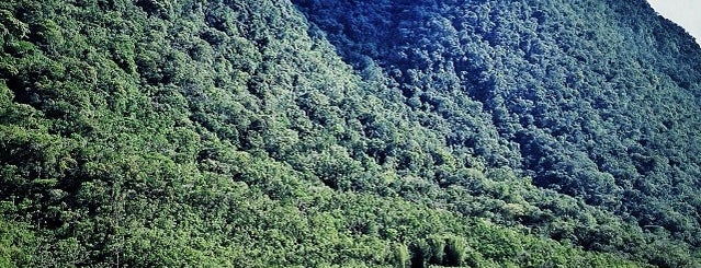 Lieux qui ont plu à Aline Carolina