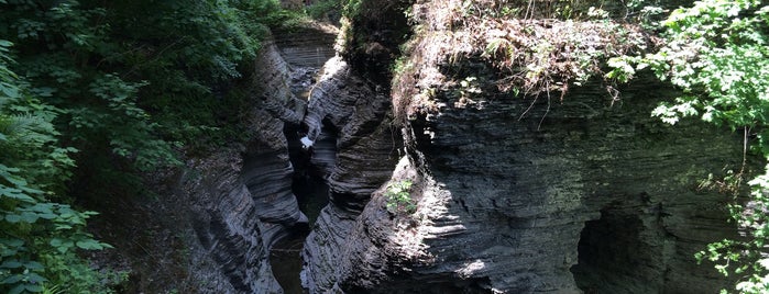Watkins Glen State Park is one of Robさんのお気に入りスポット.