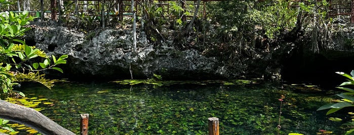 Cenote Nicte-Ha is one of Cancún.