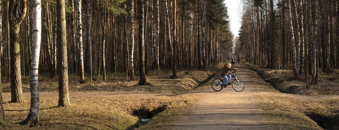 Парк Сосновая Поляна is one of велокраеведение.