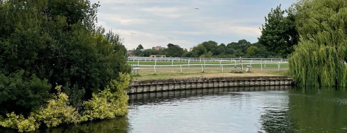 Royal Windsor Racecourse is one of Horse Racecourses of UK.
