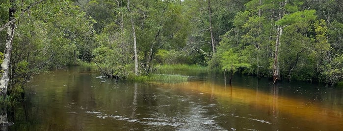 Turkey Creek Nature Trail is one of Destin-Fort Walton Beach, FL.