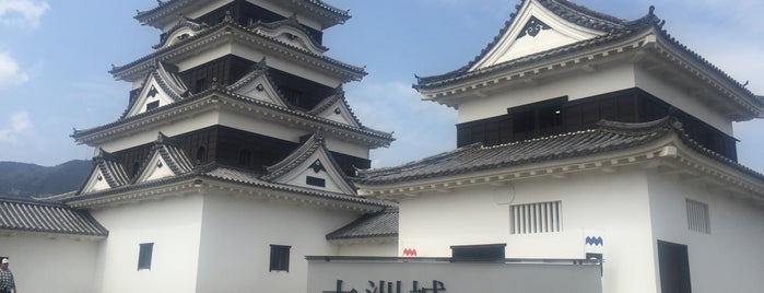 大洲城 is one of 日本100名城.