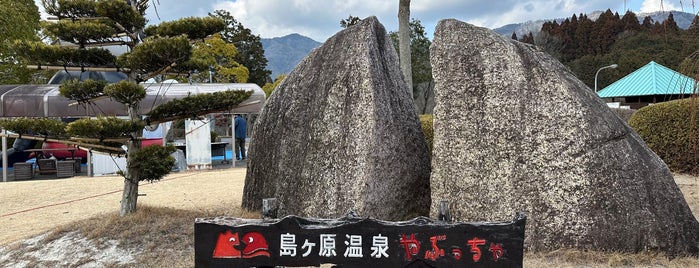 島ケ原温泉 やぶっちゃの湯 is one of 訪れた温泉施設.