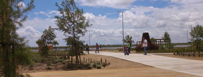 Parque Linear Ribeirinho do Estuario do Tejo is one of Lugares favoritos de Filipa.