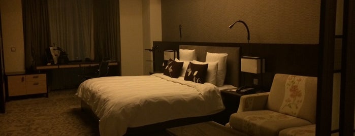 海悦花园大酒店 Haiyatt Garden Hotel is one of Lugares favoritos de Andy.