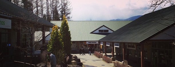 Yatsugatake Resort Outlet is one of Family skiing 2016.