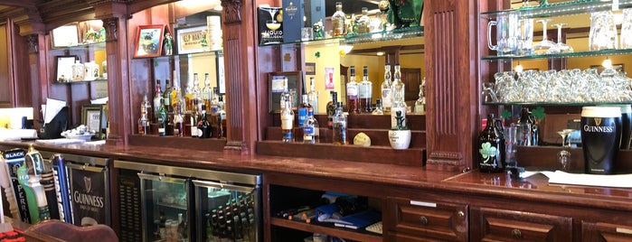 Hennessy's Pub & Whiskey Bar is one of Pure Michigan.