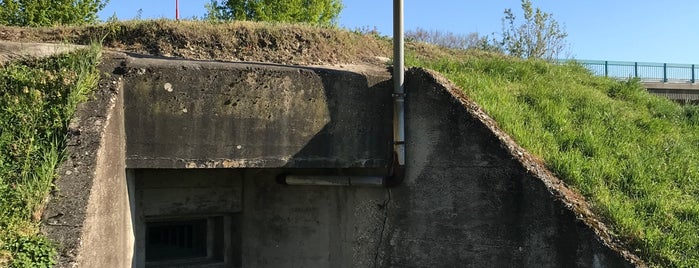 Bunker B-S-6 Vŕba is one of Petržalské bunkre.