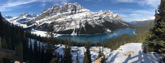 Peyto Lake is one of Heloisaさんのお気に入りスポット.