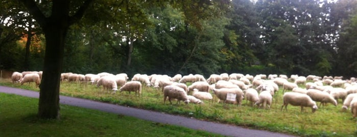 Park Lichtegaarde is one of Chill places.