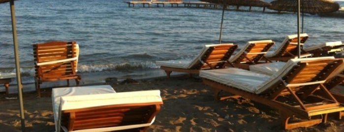 Ocean Café Bar Beach is one of Lugares favoritos de Şule.