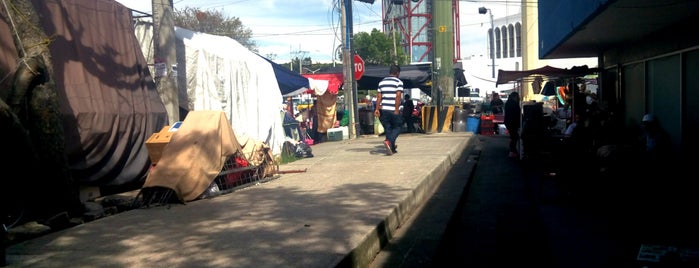 Tianguis La Normal (Domingo) is one of GDL.