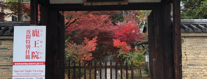 鹿王院 is one of 京都の宿題.