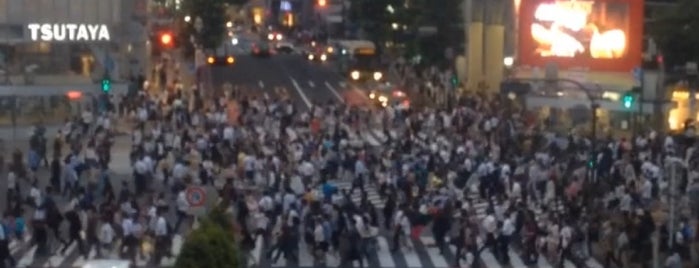 Shibuya Station is one of Locais salvos de Rptr.