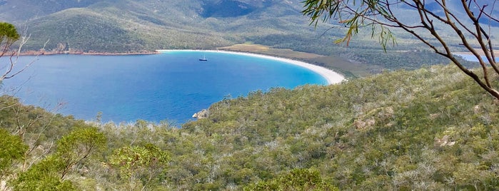 Wineglass Bay Discovery Tours is one of To Try - Elsewhere45.