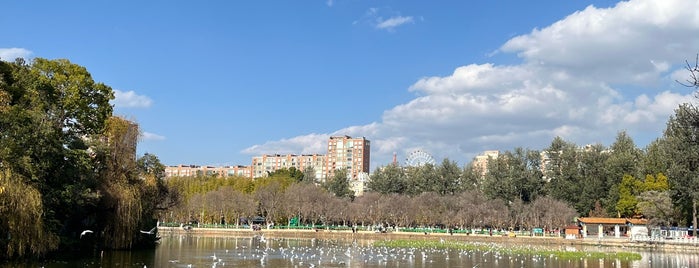 Green Lake Park is one of kunming.
