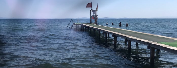 Kaçanaki Cafe&Beach is one of Altınoluk.