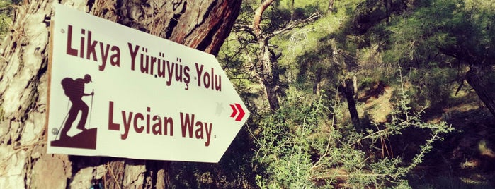 Lycian Way is one of cirali olimpos liste.