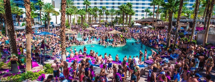 Rehab is one of Vegas Pool Party.