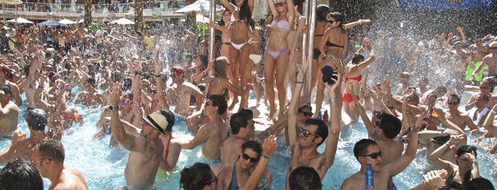 Encore Beach Club is one of Vegas Pool Party.