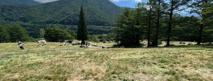 FUJI ROCK FESTIVAL is one of Live Place.