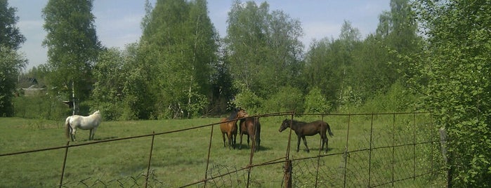 Садоводство "Грибное" is one of Tempat yang Disukai Yunna.