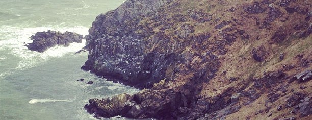 Howth Cliff Walk is one of Ireland.