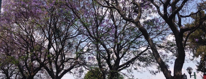 Parque de Artesanias is one of Tlaxcala Mexico.