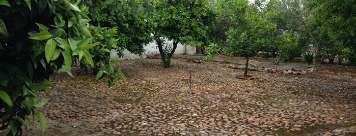 Cortijo del Cuco is one of San Sebastián de los Ballesteros.