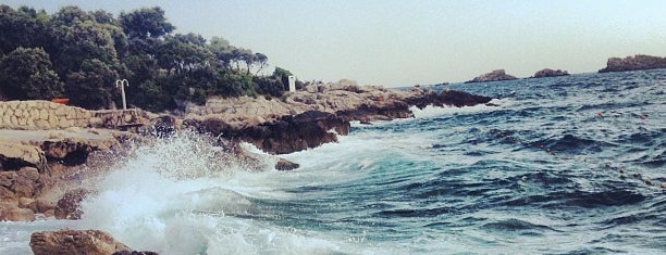 Valamar Beach is one of Posti salvati di Ben.