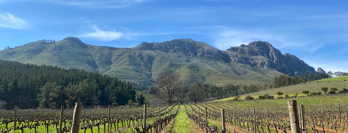 Delheim Wine Estate is one of Stellenbosch.