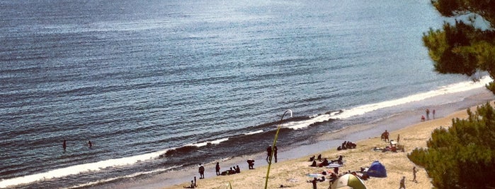 New Brighton State Beach is one of Orte, die James gefallen.