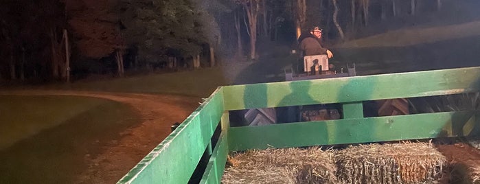 Cheeseman's Fright Farm is one of 5 Fun Fall Things To Do.