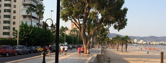 Paseo Maritimo de Benicassim is one of Habituales.