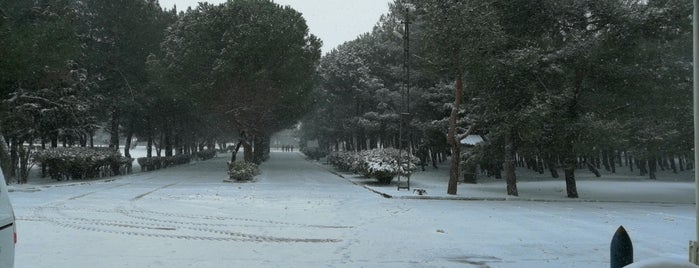 Gen. Fevzi Mengüç Kışlası is one of Tempat yang Disukai L.Onur.