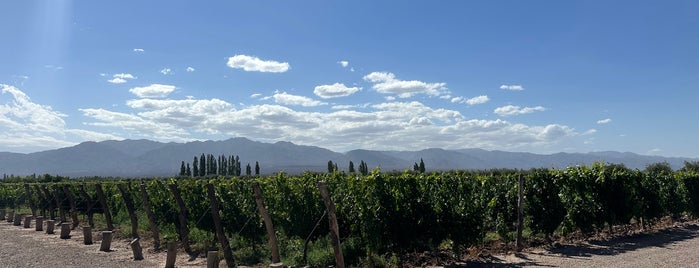 Bodega Vistalba is one of Mendoza.