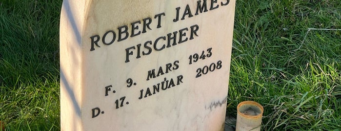 Bobby Fisher's grave is one of 2019 Iceland Ring Road.
