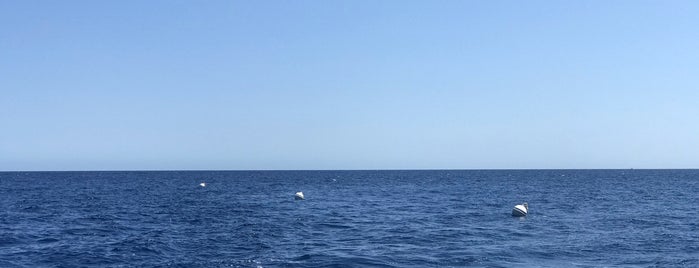 USCG DUANE is one of Key Largo.