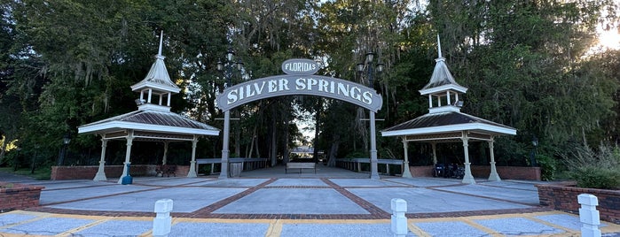 Silver Springs State Park is one of สถานที่ที่บันทึกไว้ของ Kimmie.