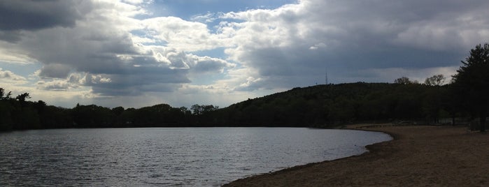 Houghton's Pond is one of Parks.