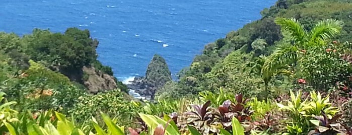 Garden Of Eden is one of Maui Wowie.