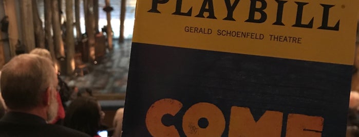 Gerald Schoenfeld Theatre is one of Broadway Theatres.