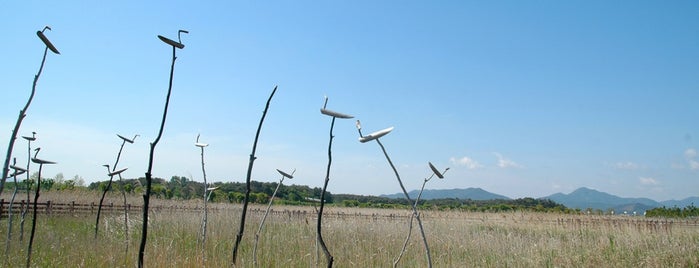 부안자연생태공원 is one of Outdoor Activities.